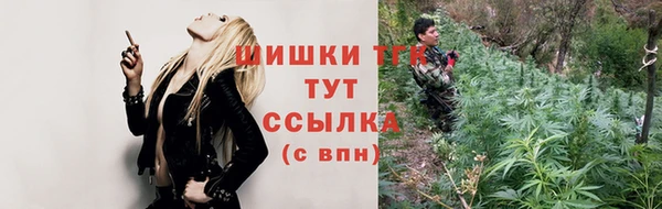 сатива Балахна
