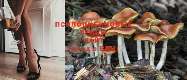 прущий лед Балабаново