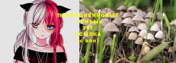 сатива Балахна